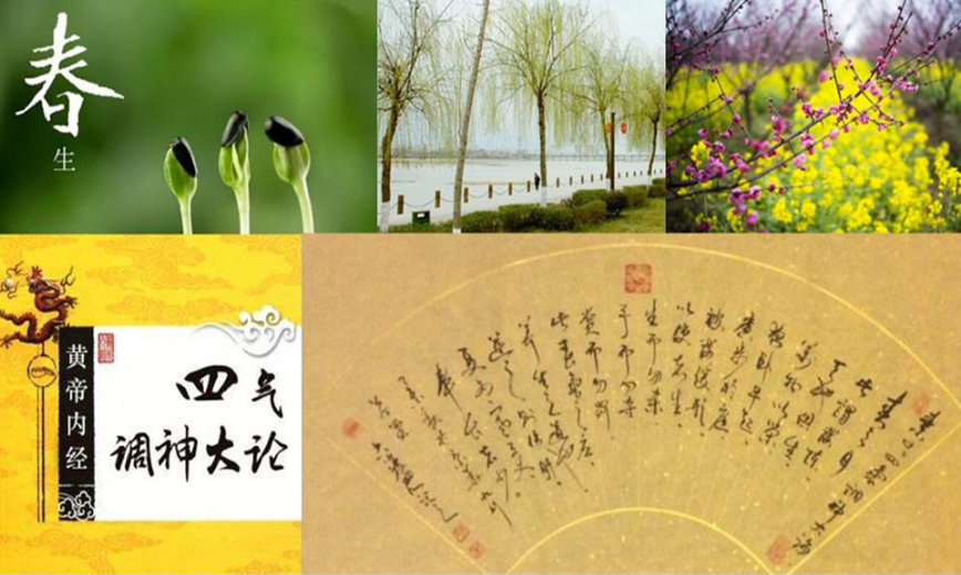 春天是生发的季节,让万物生长,不要杀生哦 - 知乎