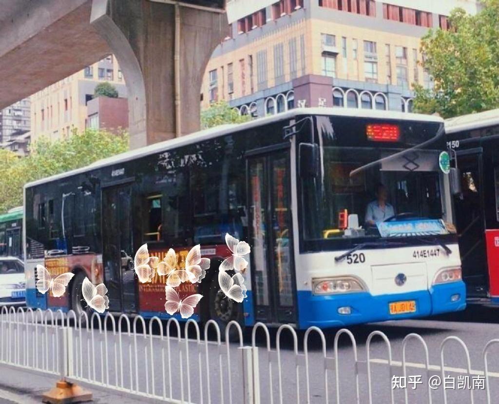 【武汉公交】402路旅游专线 全程 第一视角_汽车_科技_bilibili_哔哩哔哩