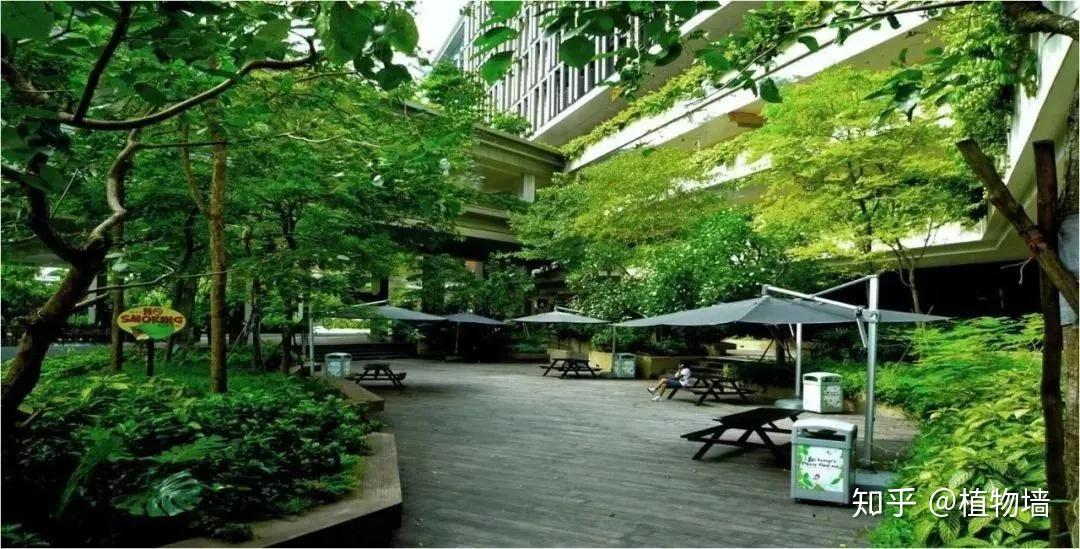 邱德拔医院绿化赏析