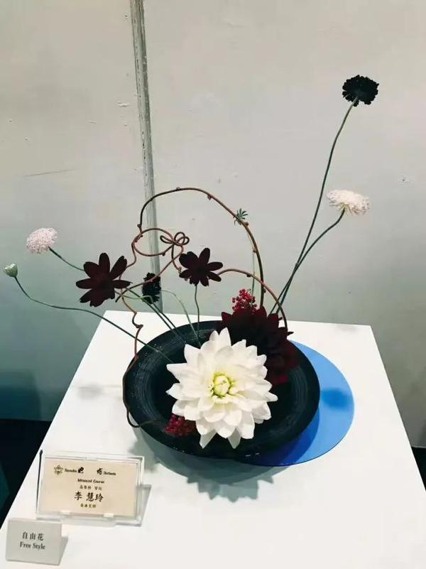 花展池坊自由花