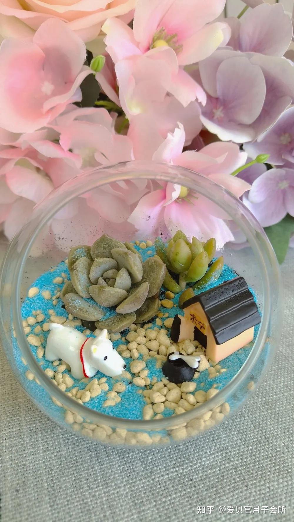 爱贝宫产后妈妈手工diy多肉微景观
