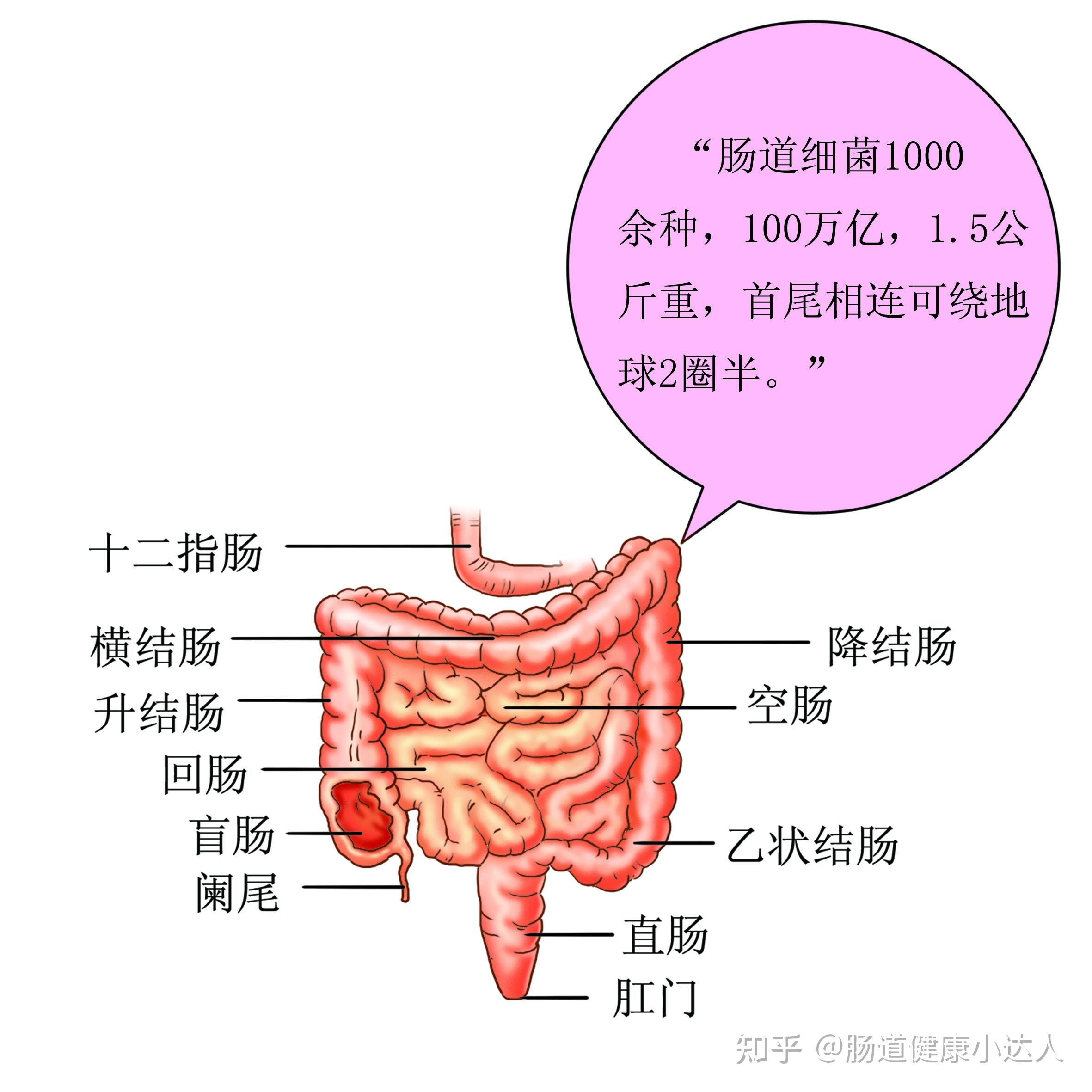 鲜为人知的科学秘密