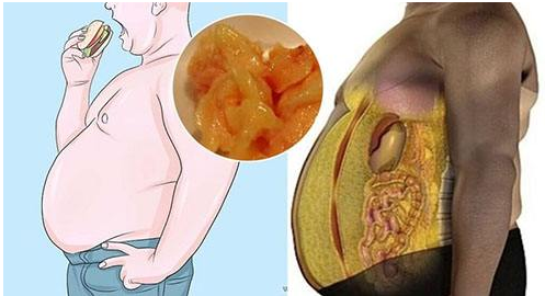 血脂怎样看 v2-35d4c6a683d9f0299063417f7f1f85d2_1440w.jpg