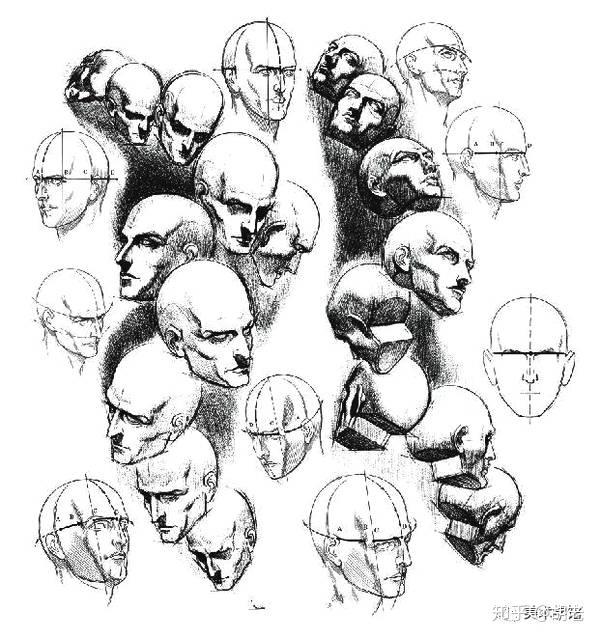 四,素描头像的【透视技巧】