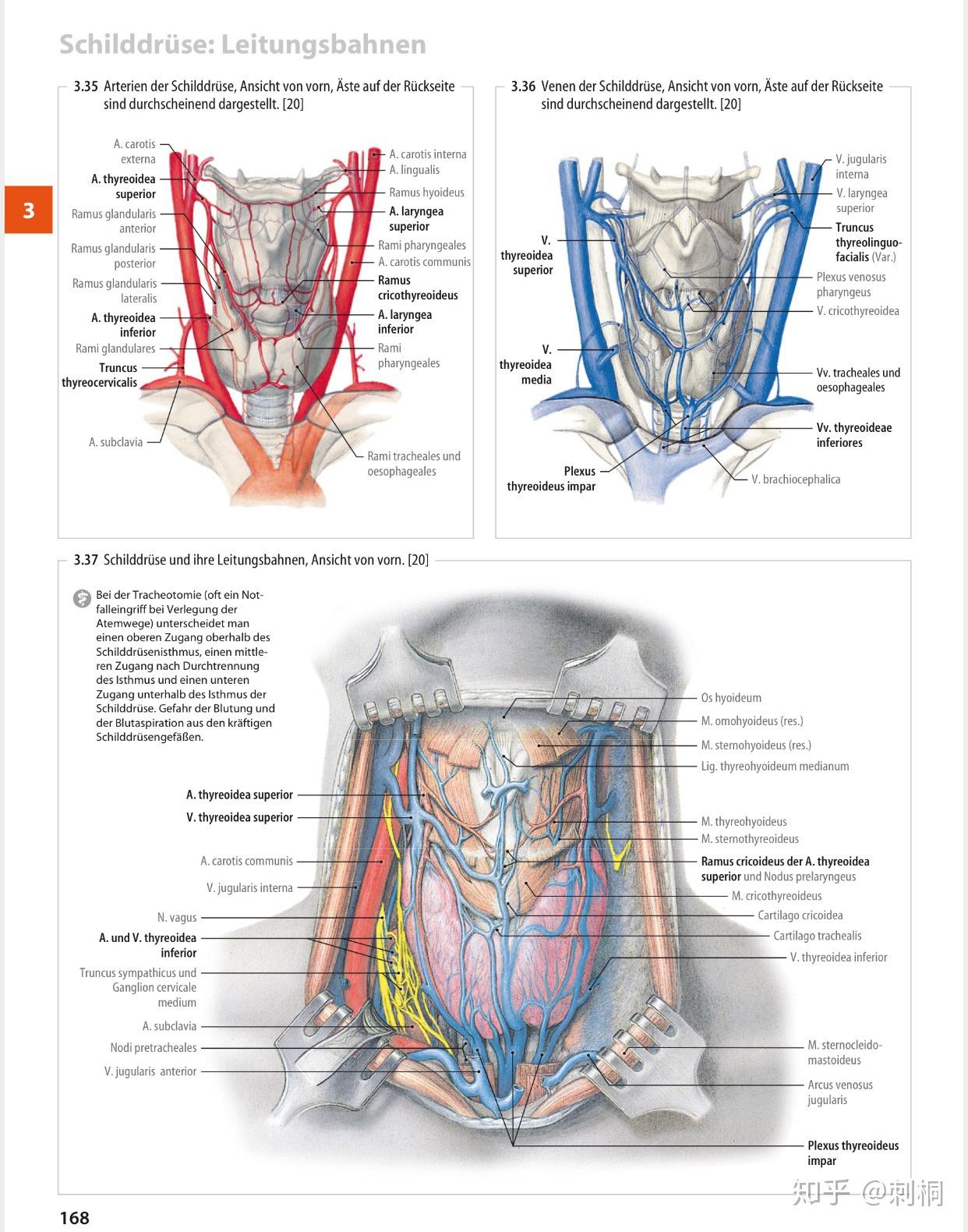 沃氏人体解剖学图谱 wolf-heideggers atlas of human anatomy,2005