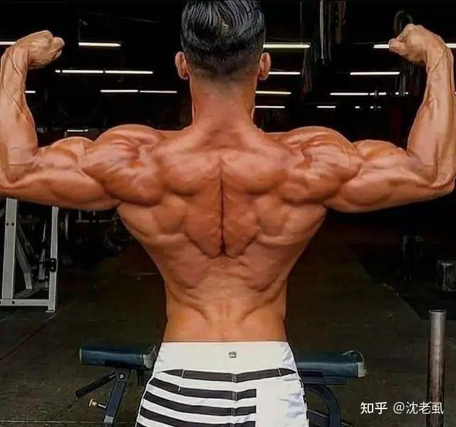 女生练背计划:8个练背动作,针对性强,效果好!拥有完美背部! - 知乎