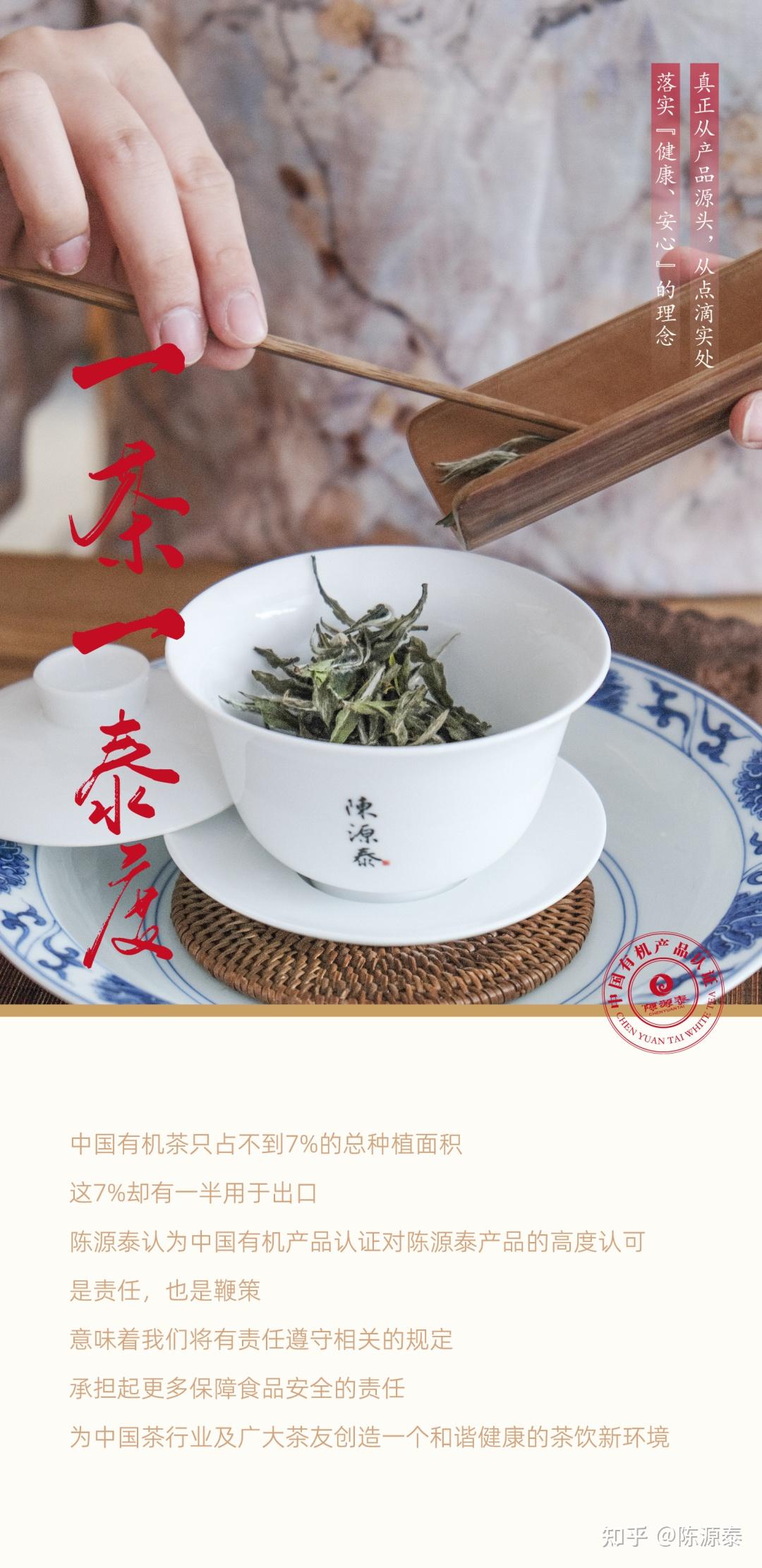 陈源泰白茶经过中国有机认证的茶