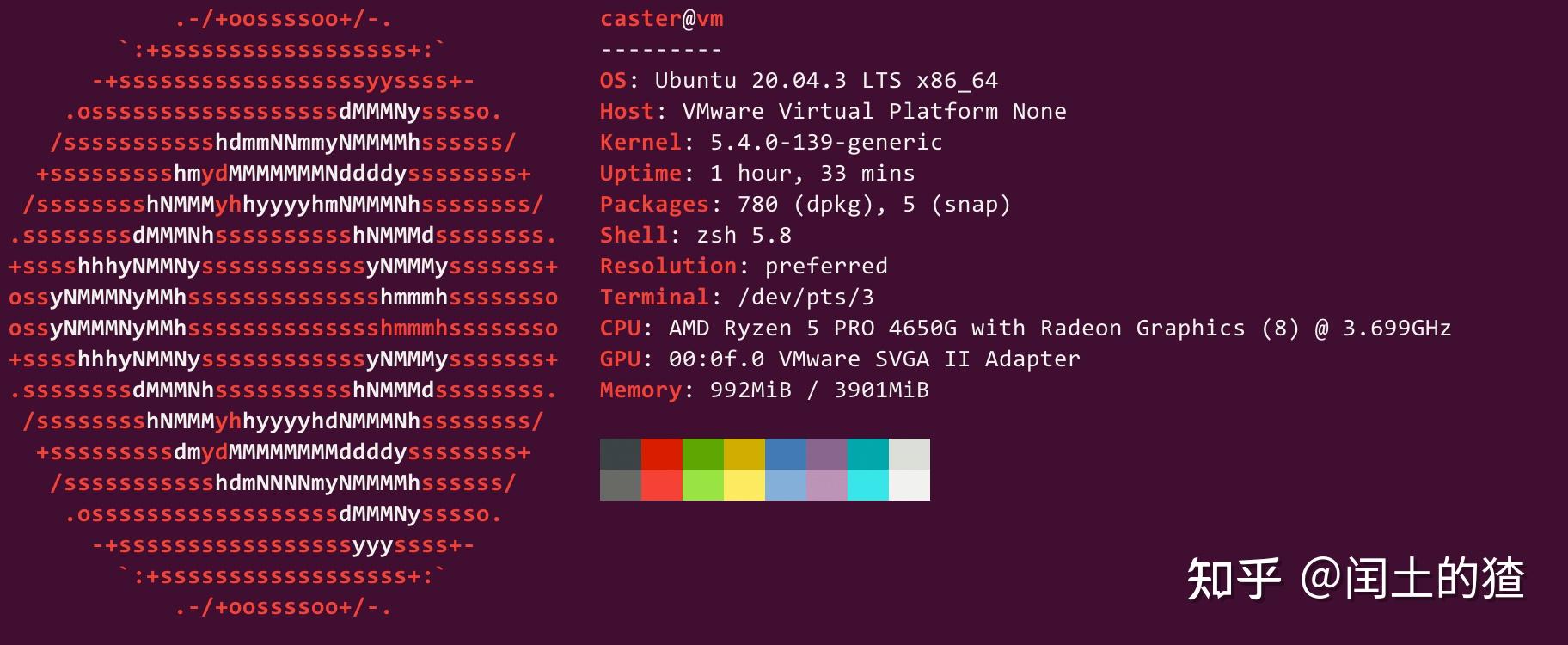 Go websocket package 
