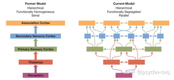 感知觉之视觉 - 知乎
