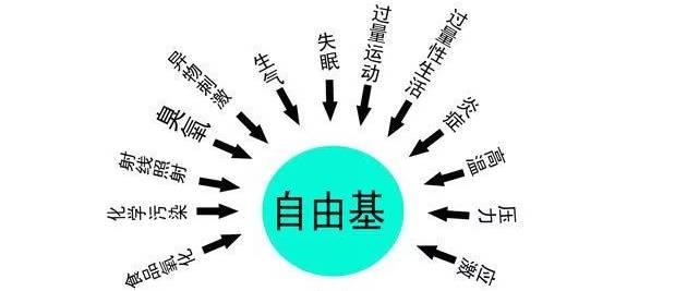 身体内自由基的产生主要有这样几个方面:身体自身的代谢过程;紫外线