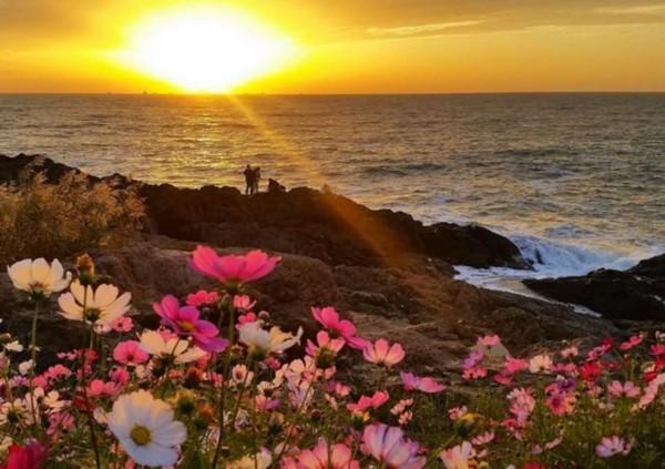 帅琅 的想法: 【帅琅求对】010 上联:西山晚色霞千片 下… - 知乎