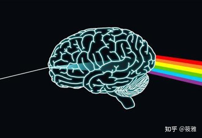 为什么经常忘记一些事情?怎样加强记忆、减缓遗忘? - 知乎