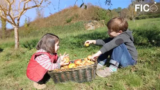 Eataly:农业旅游沉浸式消费体验天花板