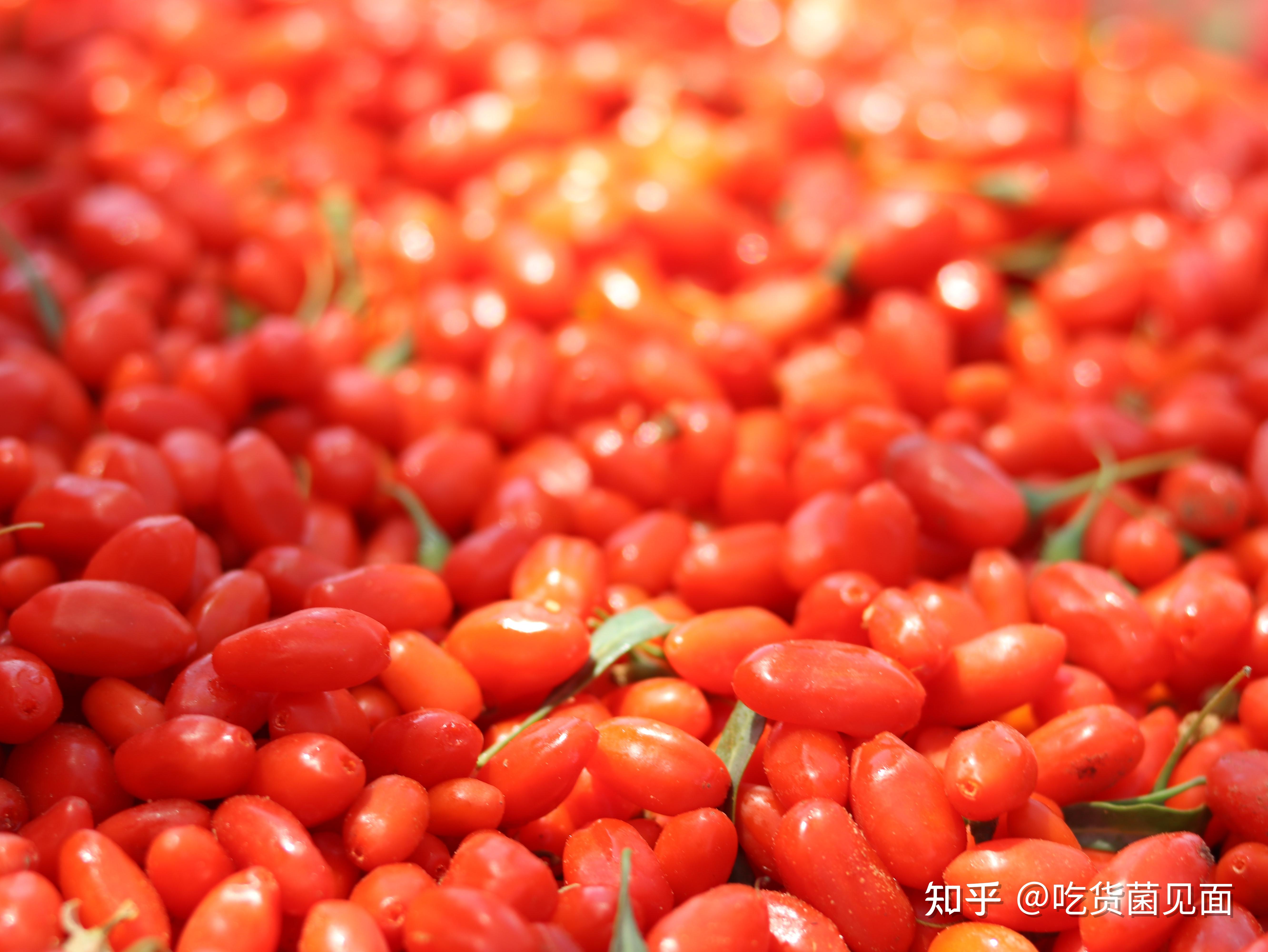 如何辨别正宗的宁夏枸杞？ - 知乎