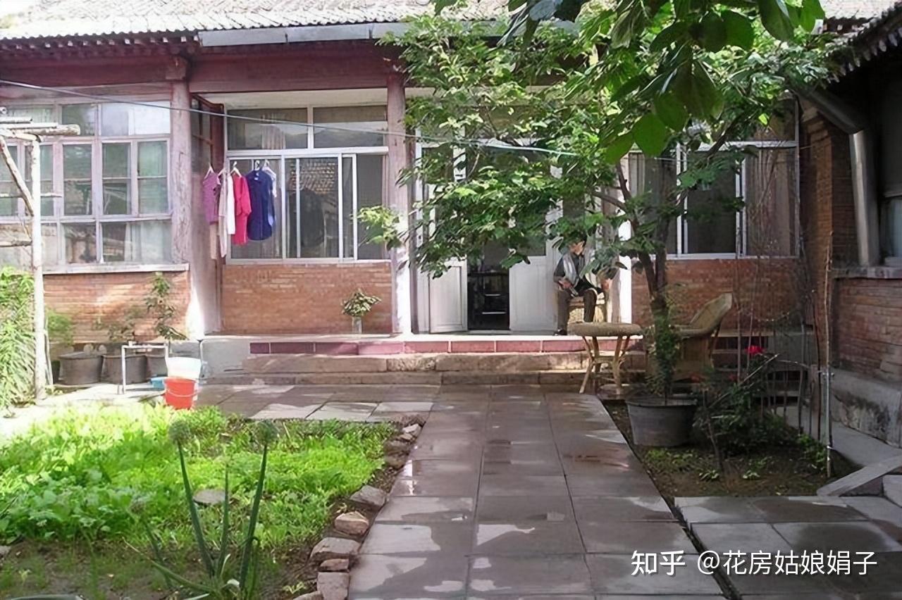 家有小院,一定要种棵树,适合种在院子里的5种树,选一棵种上吧 - 知乎