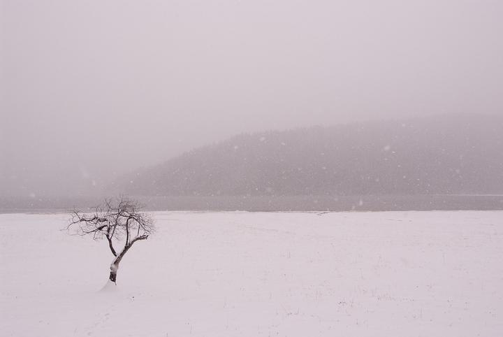 雪地轮胎游戏5