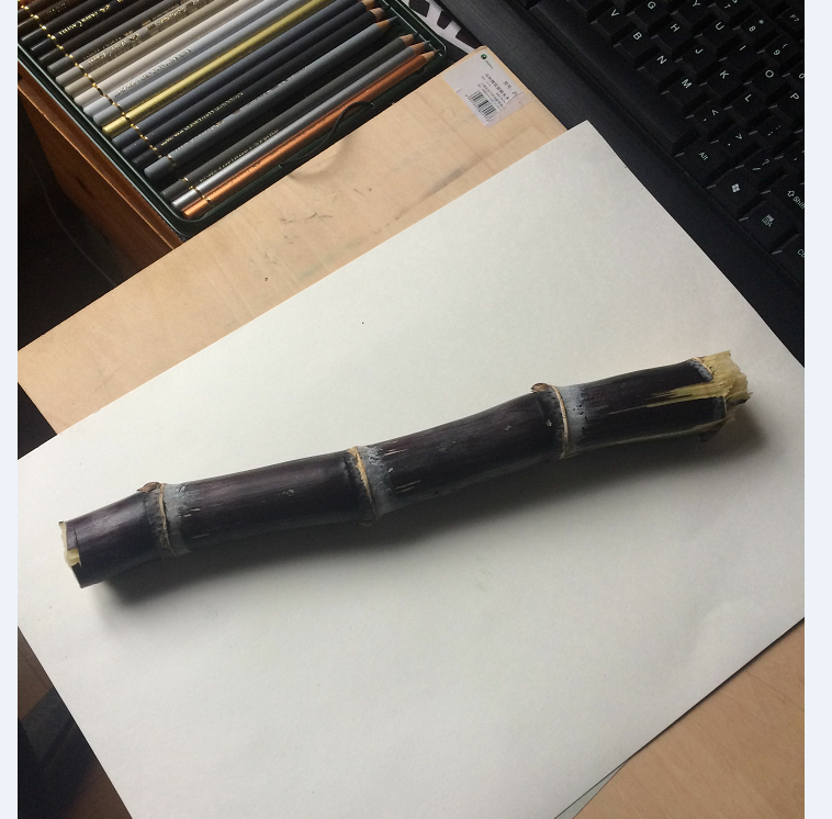 彩铅马克笔3d超写实绘画甘蔗美食类