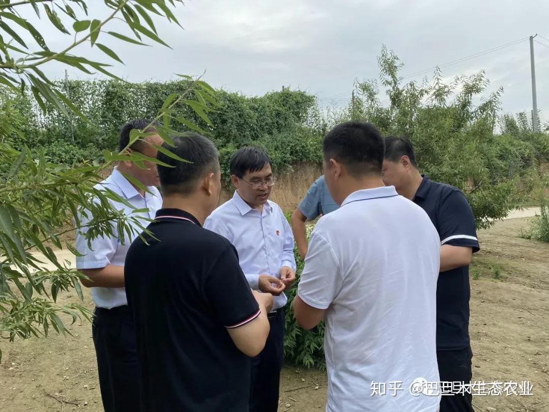 三门峡湖滨区委书记亢哲楠到河南巴旦木生态农业种植基地参观视察