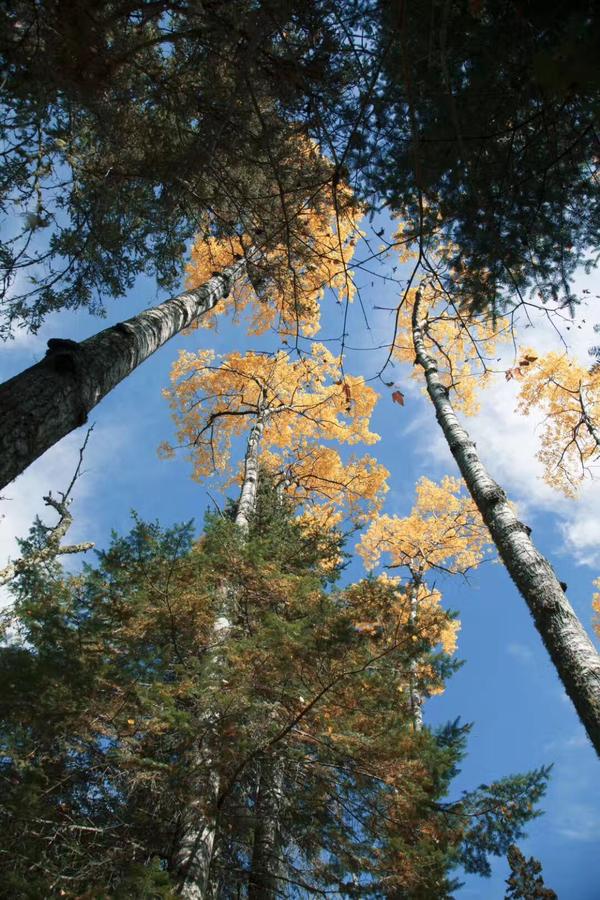 学习私募股权投资