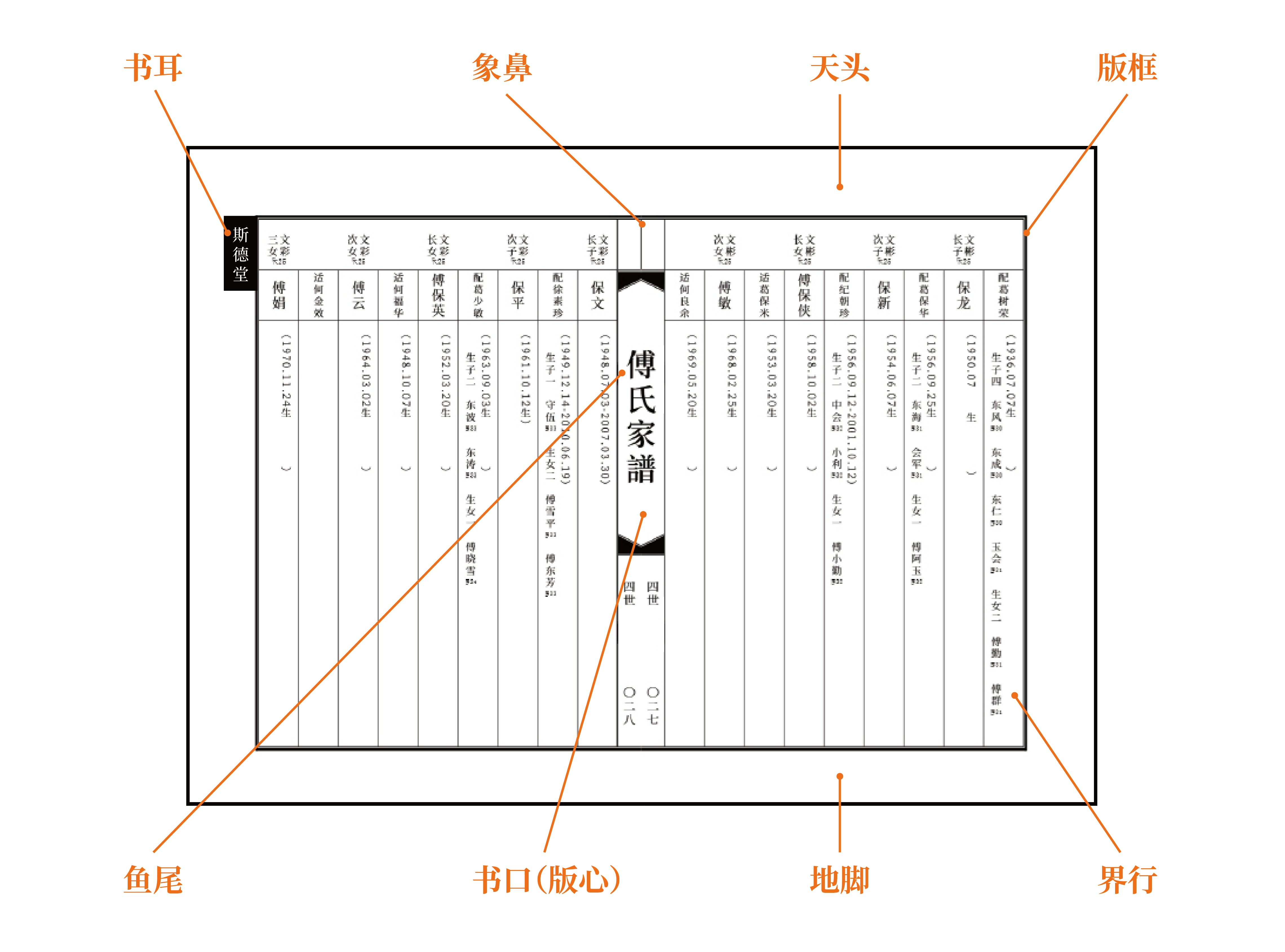 家谱内页设计图片大全图片