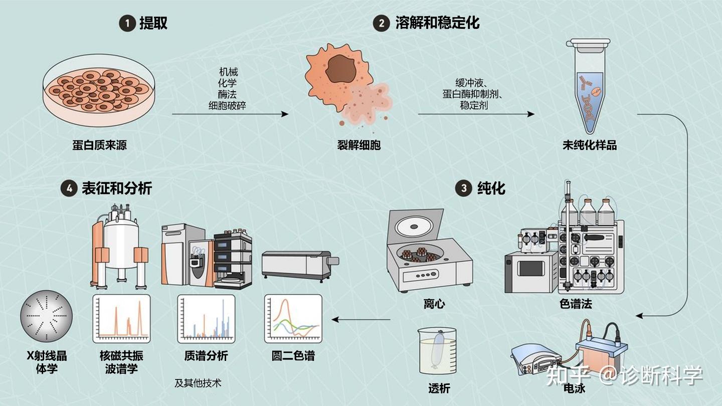 一文读懂蛋白质纯化 - 知乎