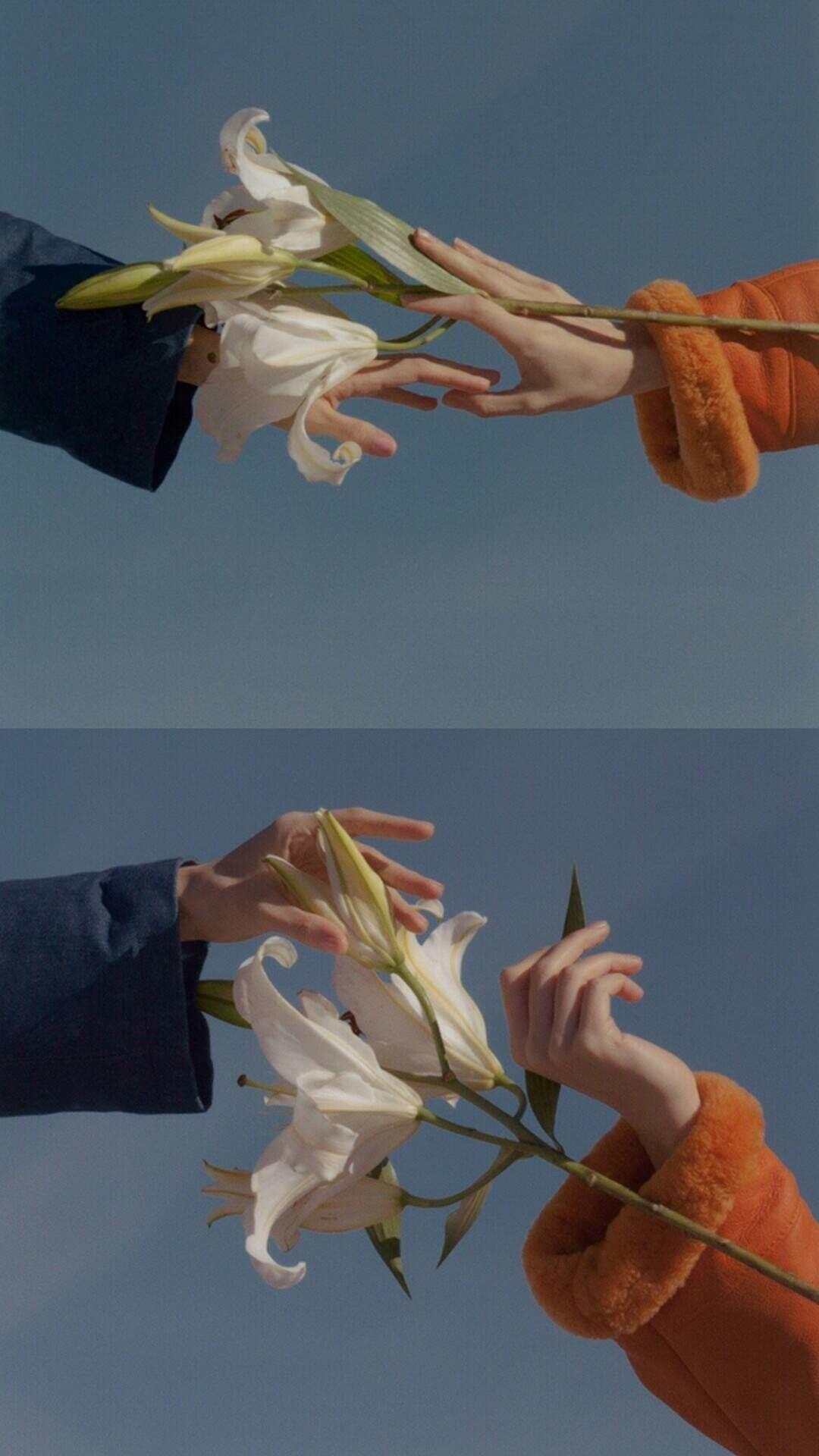 夏天到了有没有看起来很清爽干净的高清壁纸