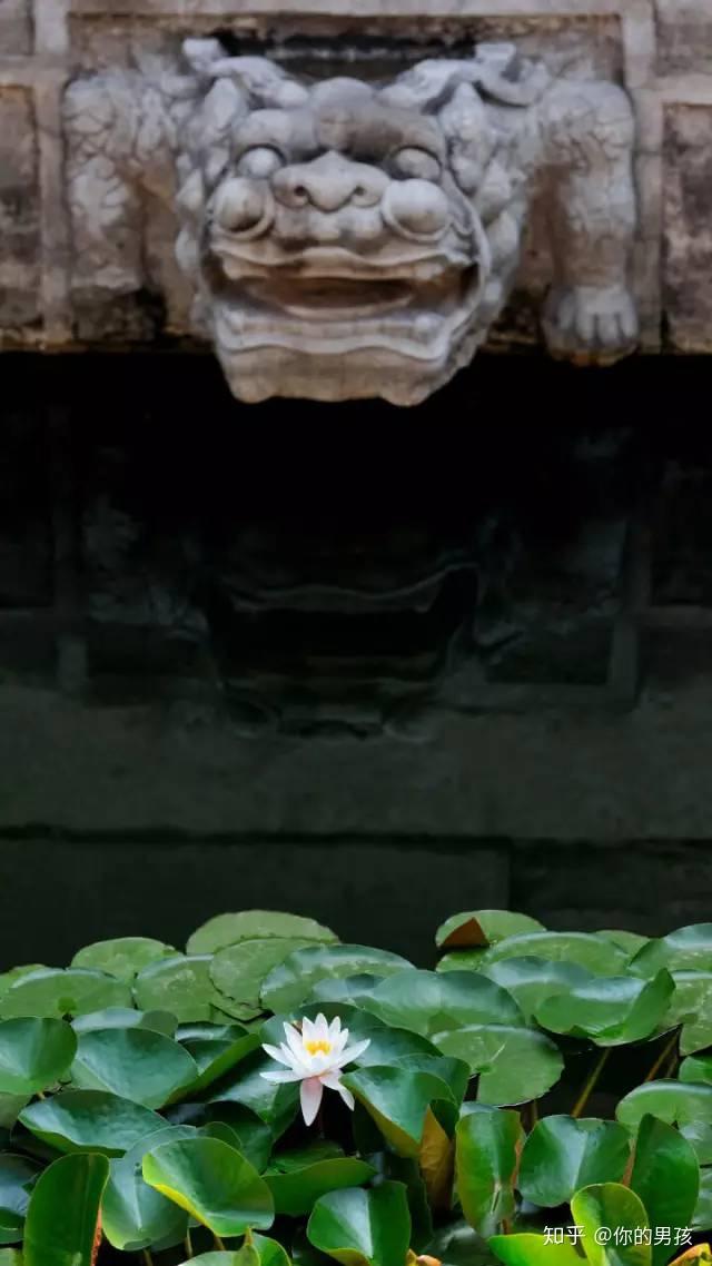 ͼƬ33