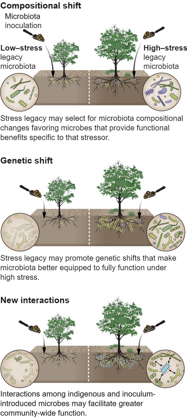 Science | 研究揭示经历过胁迫的微生物群有利于改善宿主植物的抗逆性! - 知乎