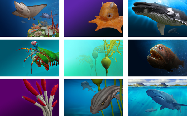 remix 3d ocean life