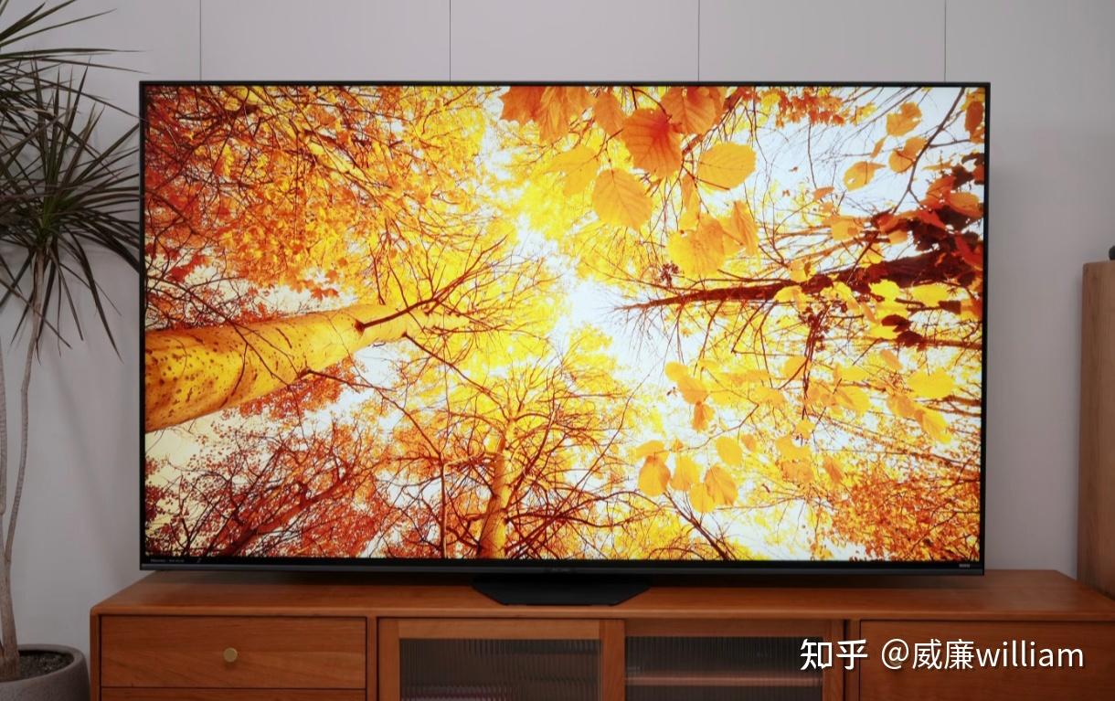 SQD和RGB-MiniLED电视最大区别是什么?为什么海信电视RGB-MiniLED画质能这么好?具体优势在哪里?