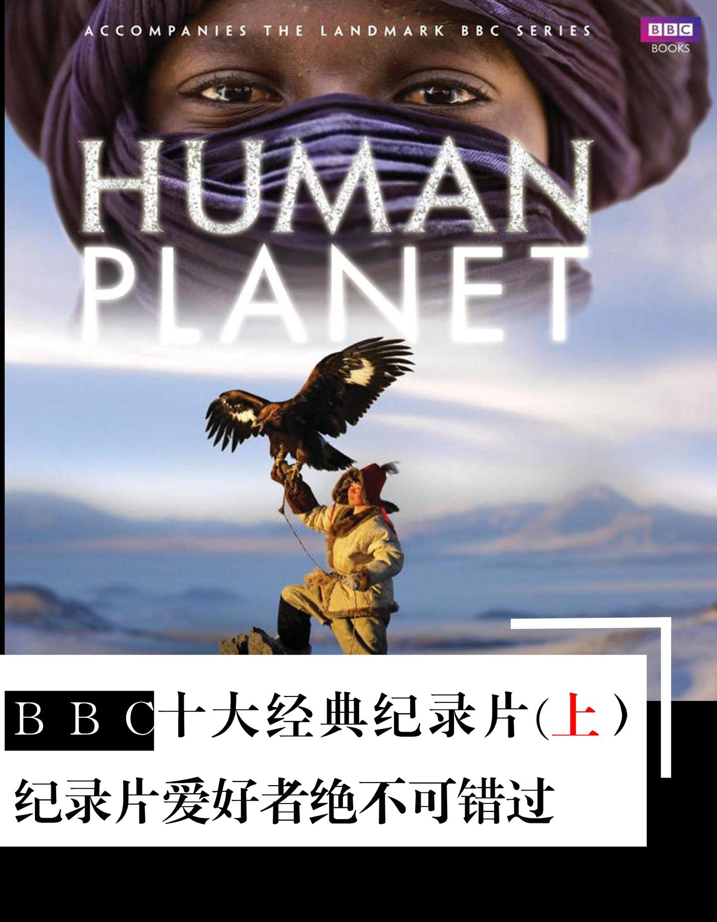 音乐图说十大经典纪录片