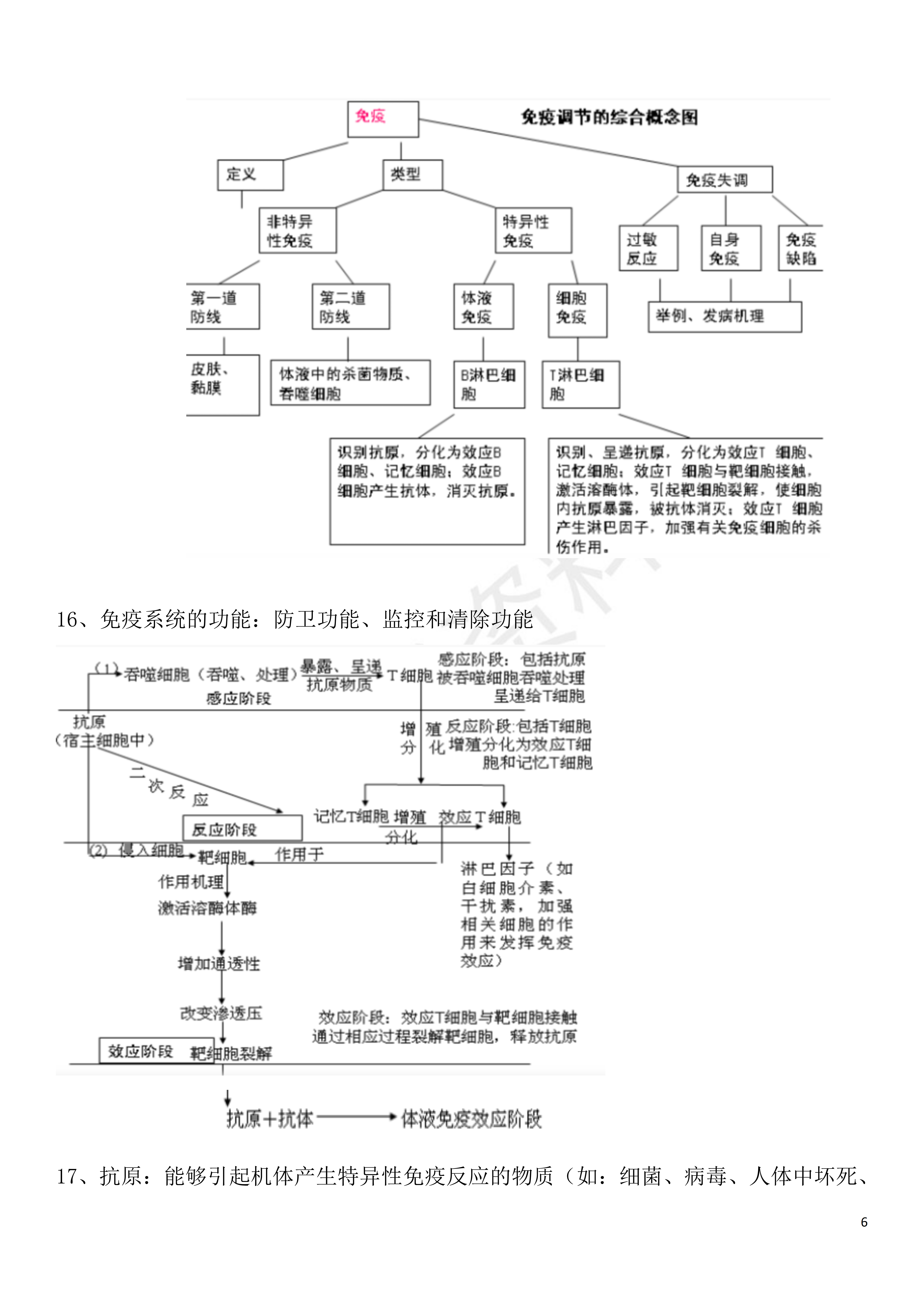 必修三生物总结框架图图片