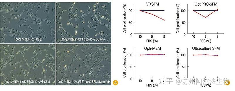 Vero细胞无血清悬浮培养技术验证 知乎