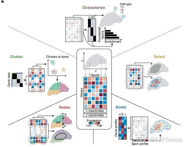10X空间转录组重点分析合集3 - 知乎