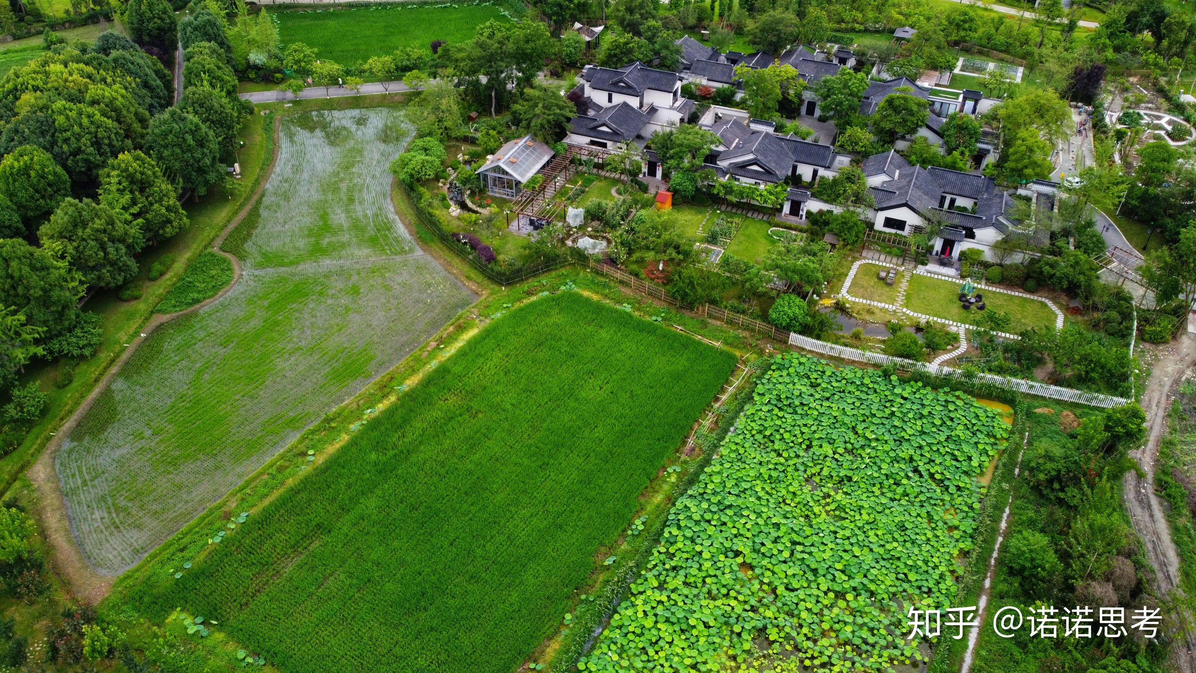 较差"的问题)目前生存机会较大的田园综合体普遍都是距市区1-2h的车程
