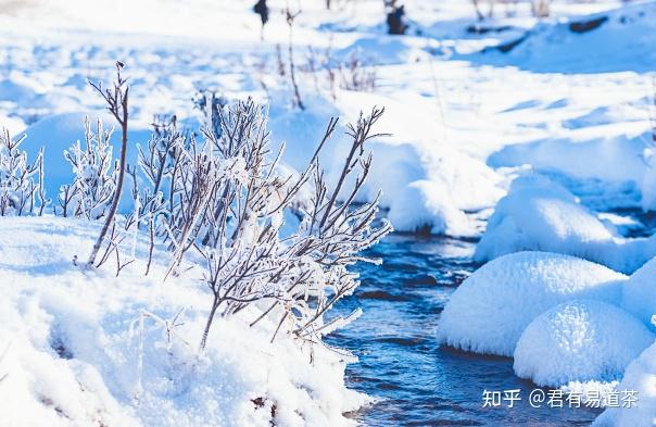 君有易道茶|喝好两类茶,天寒人不寒 - 知乎