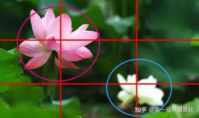 暑期摄影技巧第3期九宫格构图