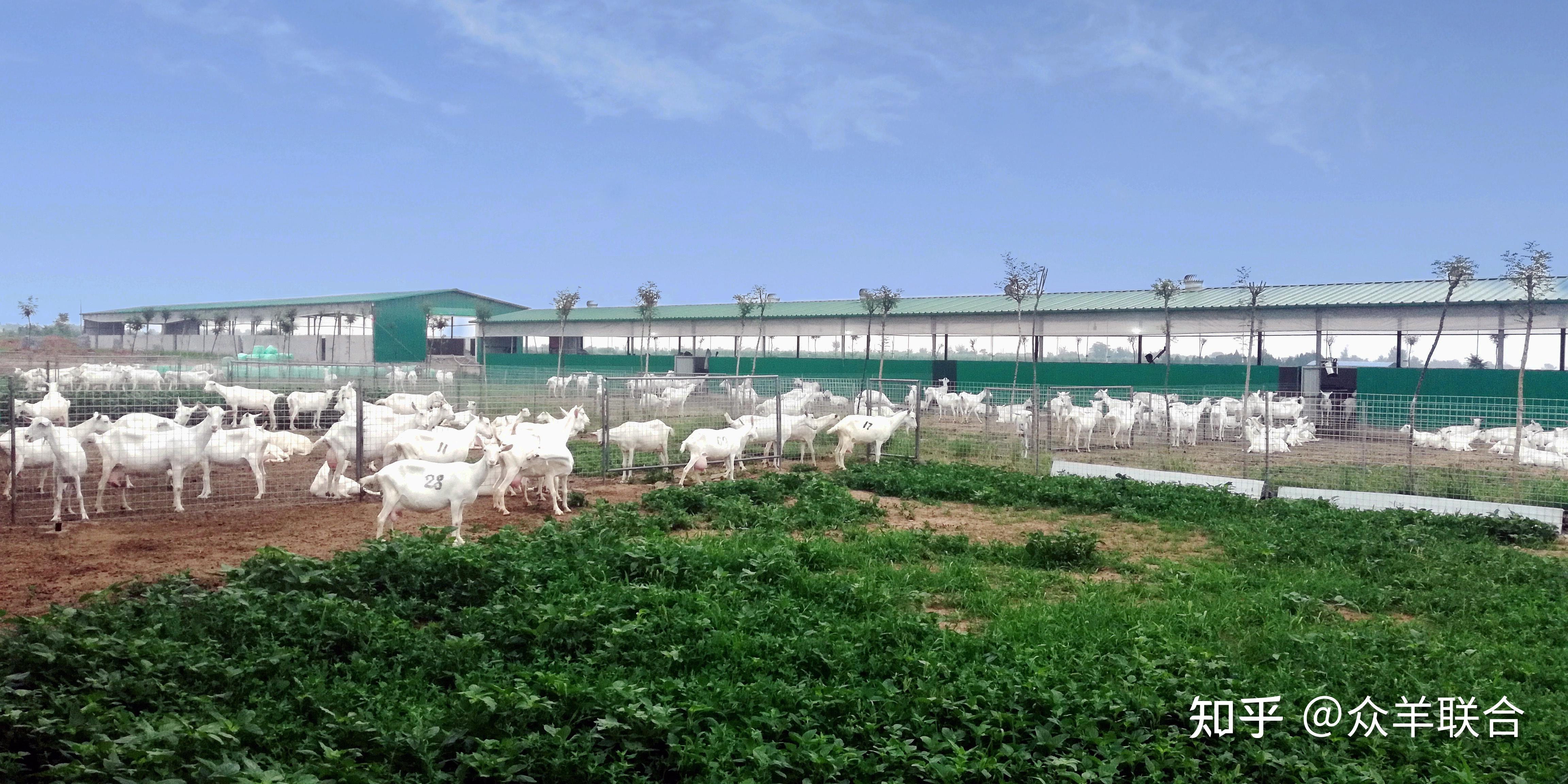 众羊联合:岐山县委书记杨鹏程,县委办主任,统战部部长