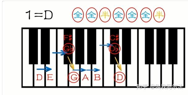 d大调钢琴键位图图片