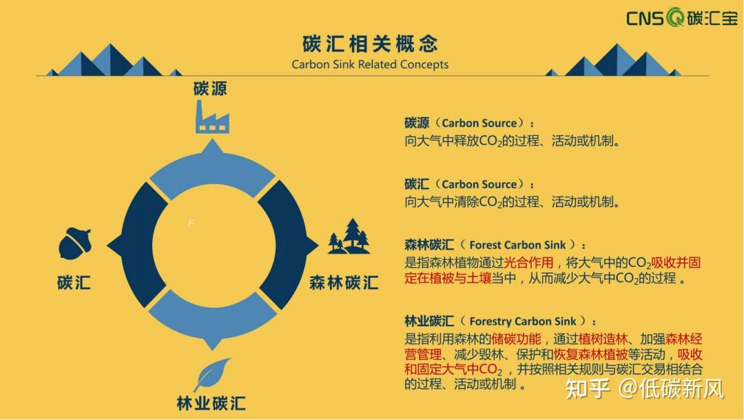 ppt2023国内外林业碳汇发展现状