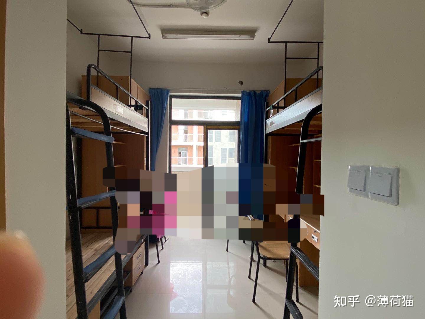上海海事大学寝室图片图片