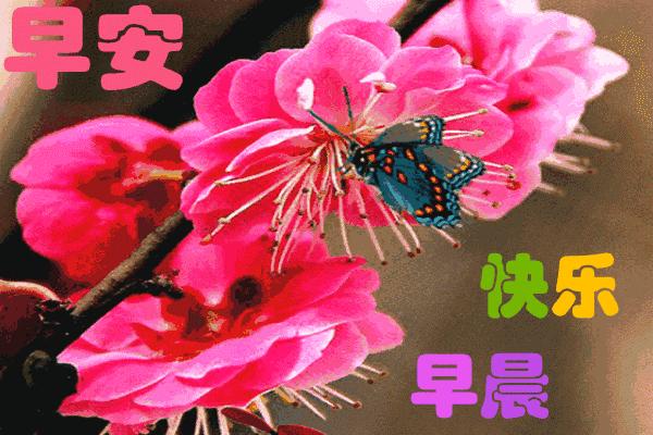 2021特别漂亮的早上好图片，每日最新早安图片