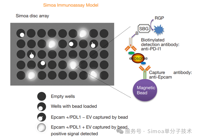 Simoa Risk Simoa®检测循环系统中肺癌来源EV的数量_化工仪器网