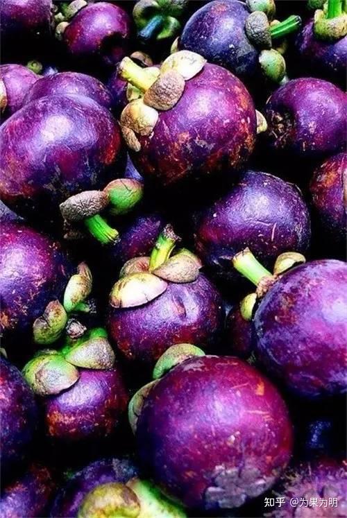 除了葡萄还有什么水果是紫色的?