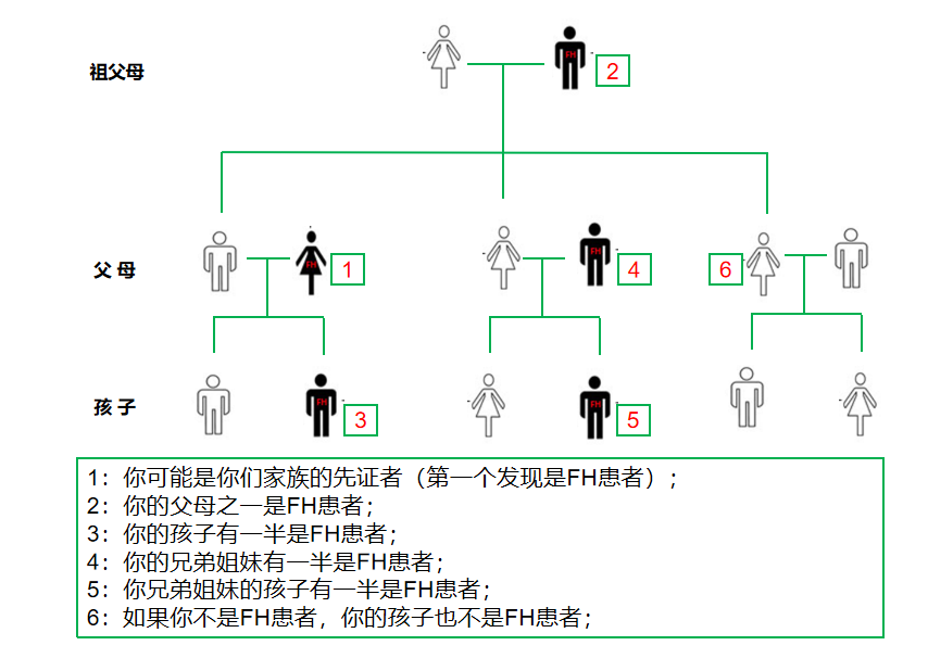 家族性高胆固醇血症(fh)是如何遗传的?