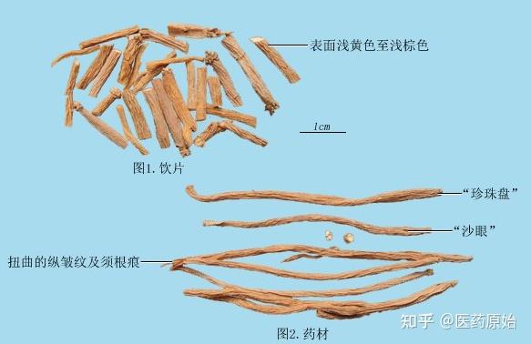 银柴胡性状鉴别图片图片