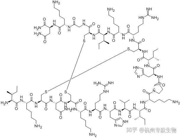 多肽链结构图片