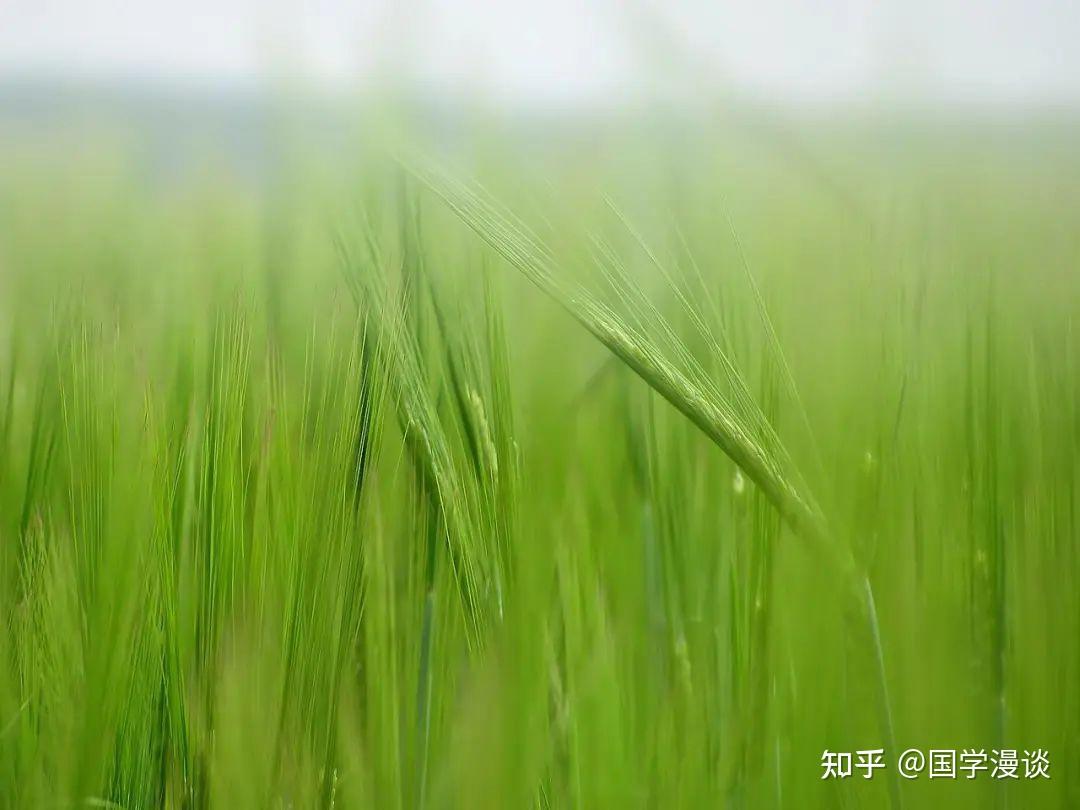 随和,是一种被低估的修养 - 知乎