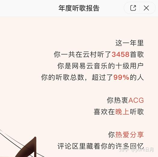 网易云年度报告