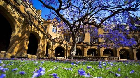 手把手申请教程系列之:利兹大学 University of Leeds - 知乎